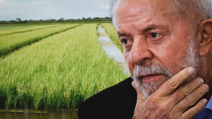Brasil Sem Medo - Governo Lula adota solução fascista para o arroz